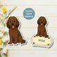 Custom Labradoodle Dog Magnet - Chocolate | Personalized with Pet Name