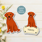 Custom Labrador Retriever Dog Magnet - Fox Red | Personalized with Pet Name