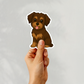 Custom Morkie Dog Sticker - Chocolate and Tan | Personalized with Name