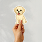 Custom Morkie Dog Sticker - Cream | Personalized with Name