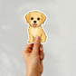 Custom Morkie Dog Sticker - Gold and White | Personalized with Name