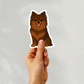 Custom Pomeranian Dog Sticker - Chocolate | Personalized with Name