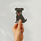 Custom Schnauzer Dog Sticker - Black | Personalized with Name