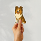 Custom Sheltie Dog Sticker - Sable and White | Personalized with Name