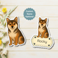 Custom Shiba Inu Dog Magnet - Sesame | Personalized with Pet Name
