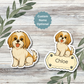 Custom Shih Tzu Dog Sticker - Gold and White | Personalized with Name