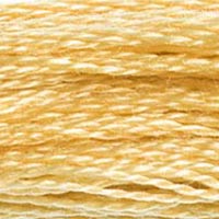 DMC #676 Savannah official colour swatch