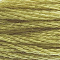 DMC #734 Broken Olive official colour swatch