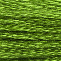 DMC #906 Mistletoe official colour swatch