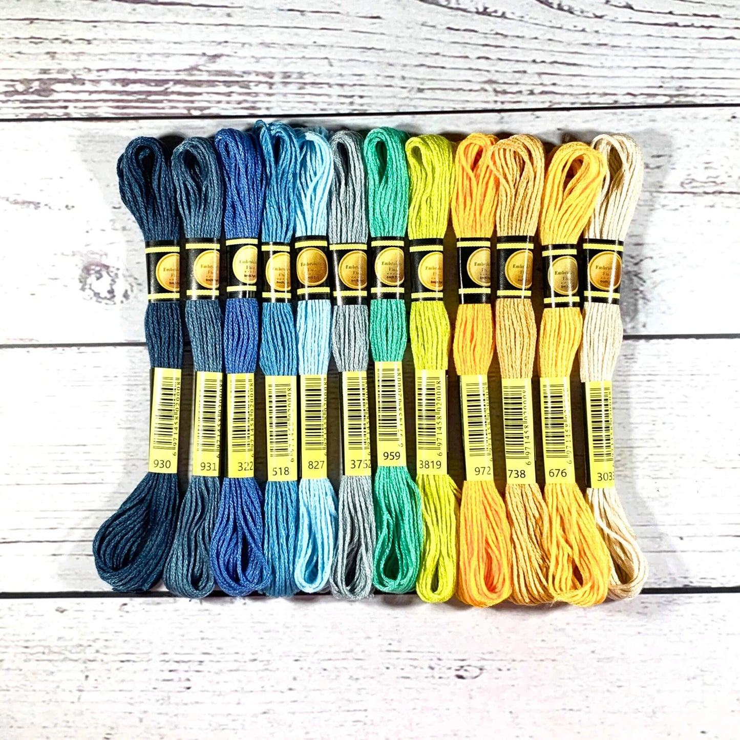 Lot de 12 fils dentaires Seaside Serenity – Ensemble de fils Sea &amp; Sand