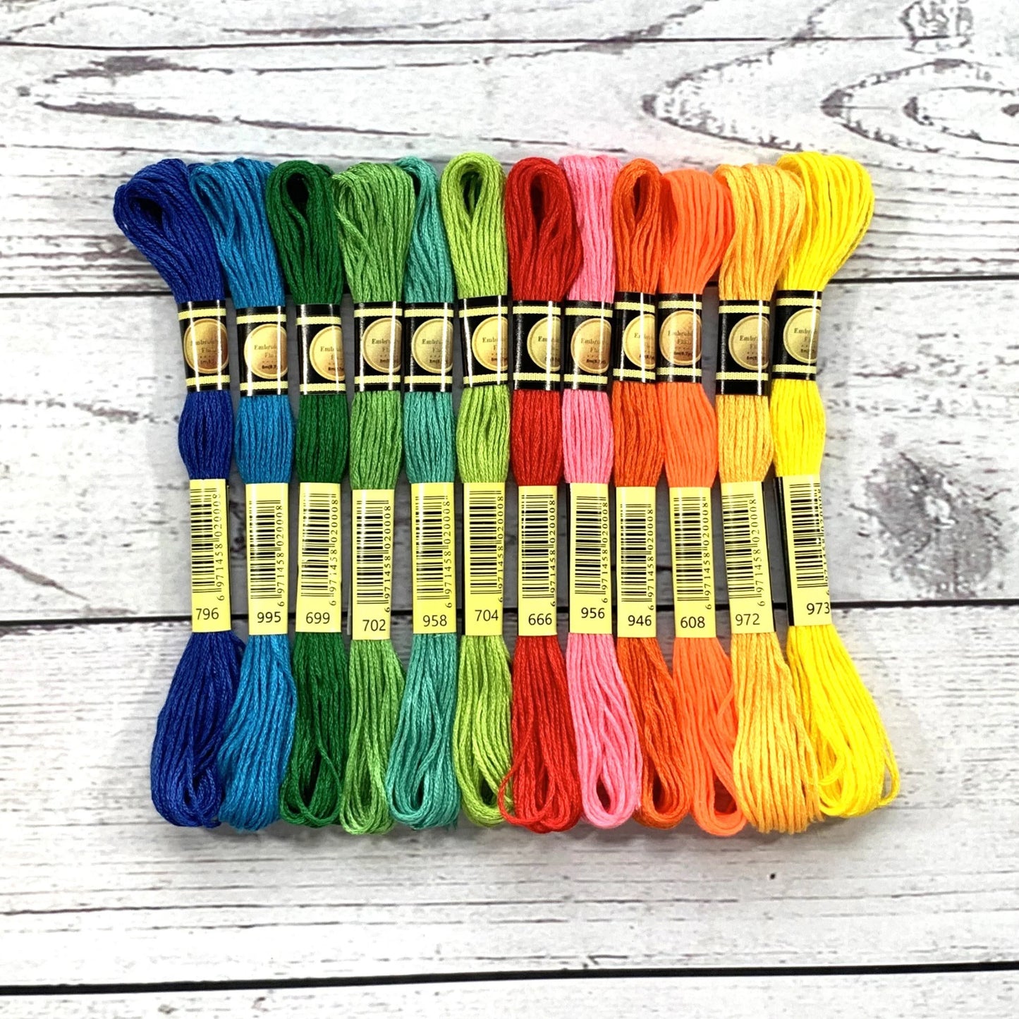 Lot de 12 fils à broder Vibrancy Burst Floss – Kit de fils à broder audacieux et lumineux